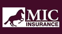 logo mic assurances logo mic assurances